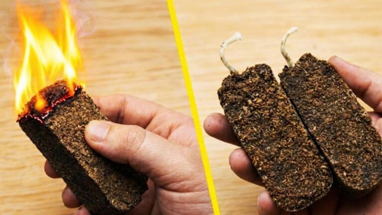 5 prostych sposobów na darmową energię, którą każdy może zdobyć!